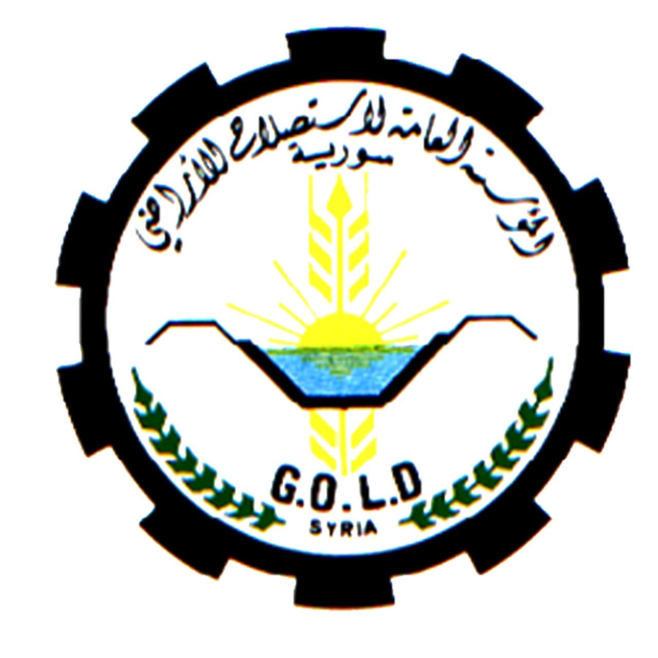 Deir Ezzor projects gold